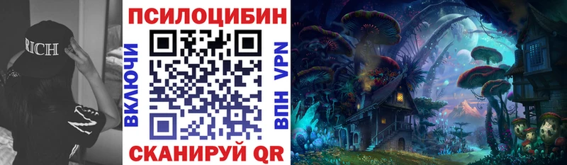 Купить где Велиж Галлюциногенные грибы прущие грибы